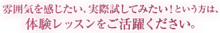 雰囲気を感じたい、実際試してみたい！という方は、体験レッスンをご活躍ください。